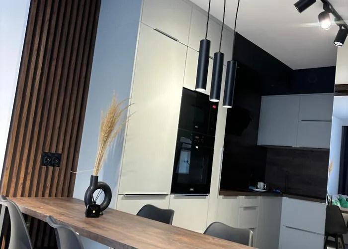 Business And Friendly Apartments Rzeszow Self Check-In