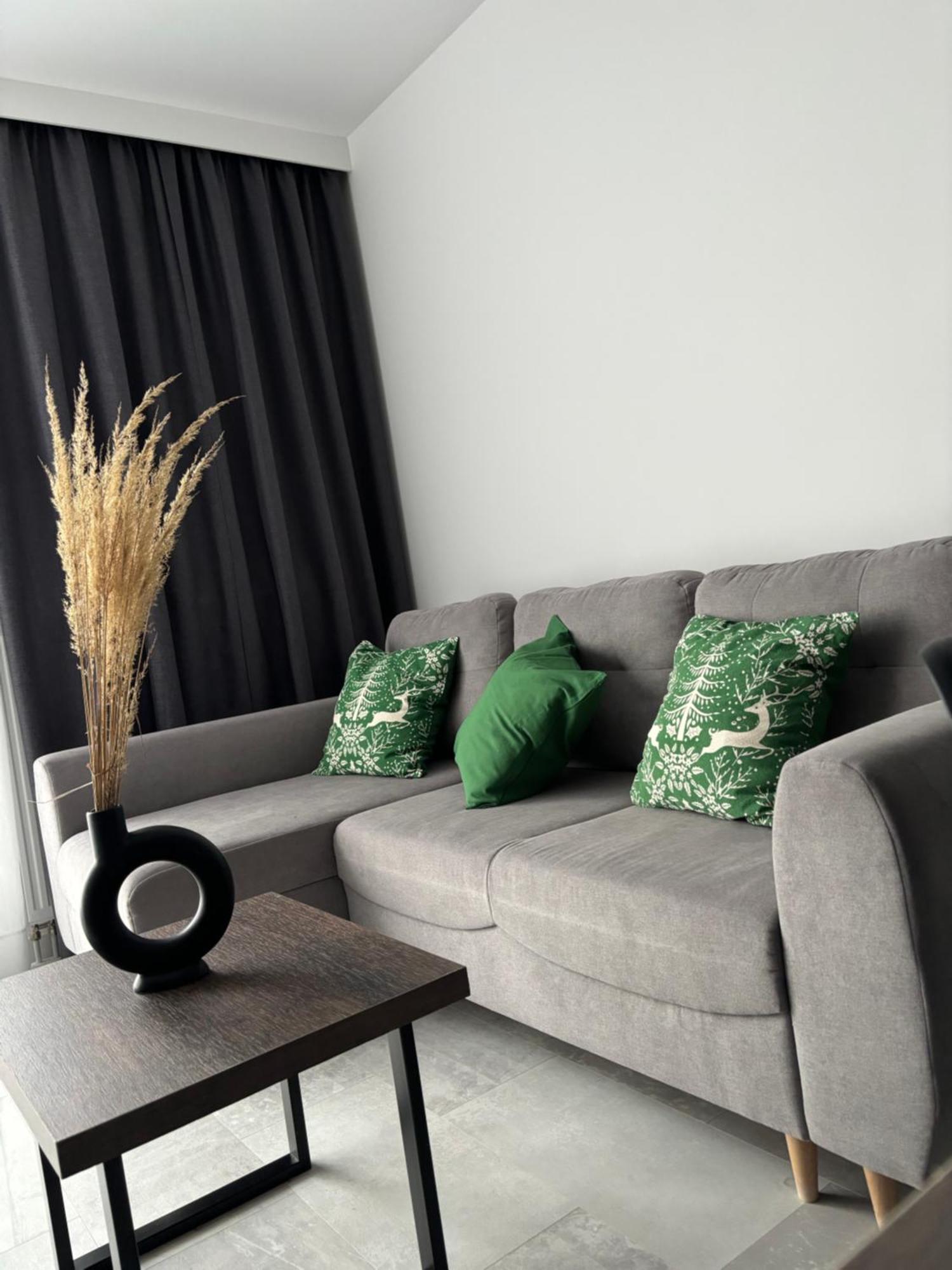 Apartment Business And Friendly Self Check-in Rzeszow